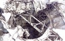 Rơi nước mắt khai quật máy bay ném bom DB-3 ở Nga