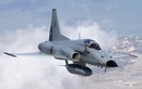Mỹ tái sản xuất linh kiện F-5: Cơ hội có “1-0-2” cho VN