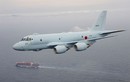 Lý do Việt Nam nên mua “sát thủ săn ngầm” P-1 của Nhật Bản