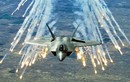 Tại sao không một quốc gia nào được sở hữu "viên ngọc quý" F-22 Raptor?