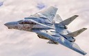 Đã rõ lý do Mỹ phá hủy tất cả chiến cơ "huyền thoại" F-14 Tomcat