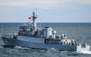 Ngoại giao bằng tàu chiến Pohang, Hàn Quốc lợi cả đôi đường