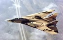 Iran chọn người kế nhiệm F-14: Chiến đấu cơ nào khiến Mỹ e sợ?