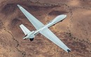 Ấn Độ không mua UAV MQ-9B Reaper của Mỹ vì giá đắt cắt cổ 