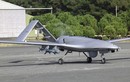 Liệu Nga có thể tiêu diệt UAV ở Nagorno-Karabakh trong một ngày?