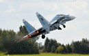 Belarus loại biên Su-27, liệu có bán rẻ cho các nước có nhu cầu?