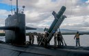 Tại sao Hải quân Mỹ trang bị lại tên lửa Harpoon cho tàu ngầm? 