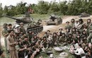 Tại sao lại có “số 85” trong định danh của huyền thoại T-34-85 
