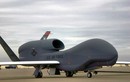 Quá lo sợ Trung Quốc, Mỹ loại biên sớm 20 UAV Global Hawk