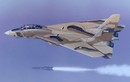 Mỹ và đồng minh phát hoảng khi F-14 Iran lột xác với tên lửa mới