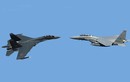 F-15 Mỹ và Su-35 Nga: Kỳ phùng địch thủ chưa từng chạm mặt [P2]