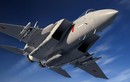 Sốc: Nhật Bản nâng cấp tiêm kích F-15 thành “ngựa thồ” tên lửa