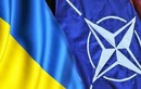 Cựu Tư lệnh NATO: NATO không cần Ukraine