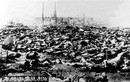 70 năm ngày Mỹ ném bom nguyên tử xuống Hiroshima