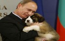 Tổng thống Nga Putin và tình yêu dành cho động vật