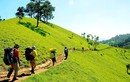 Băng rừng trên cung đường trek đẹp nhất Việt Nam