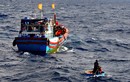 Tìm kiếm 2 ngư dân rơi xuống biển mất tích