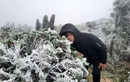 Nhiệt độ xuống thấp, núi Mẫu Sơn xuất hiện băng giá