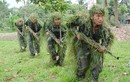 Tận mắt xem bộ đội đặc công khổ luyện "kungfu" 