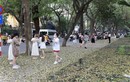 Du khách nước ngoài thích thú với phố Phan Đình Phùng mùa lá rụng