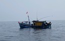 Bắt giữ hai tàu cá đánh bắt thủy sản trái phép ở Quảng Trị