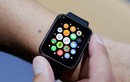 Apple tiết lộ chi tiết cấu hình của Apple Watch