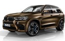 BMW giới thiệu bộ đôi X5 M và X6 M Individual