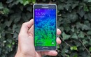 Samsung Galaxy Alpha đang đếm từng ngày chờ 'khai tử'