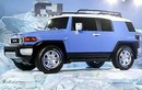 Toyota FJ Cruiser vẫn sống sót sau vụ hỏa hoạn lớn