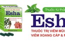 Thảo dược trị viêm mũi dị ứng, viêm xoang