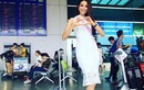 Sao Việt chúc Phạm Hương thi tốt ở Miss Universe 2015