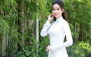 Hoa hậu Đỗ Mỹ Linh đẹp hút hồn với áo dài trắng