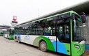 Nội thất đơn giản của buýt nhanh BRT bị tố đội giá