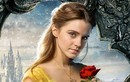 Diễn viên Emma Watson kiếm hơn hơn 400 tỷ khi mới 19 