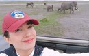 Phạm Hương, Lệ Hằng thích thú chụp ảnh cùng loài voi