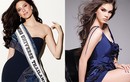 Loạt đối thủ đáng gờm của Nguyễn Thị Loan tại Miss Universe 2017