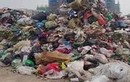Video: Hà Nội thu gom gần 16.000 tấn rác trong 4 ngày Tết