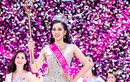 Vừa đăng quang, Hoa hậu Trần Tiểu Vy đã vướng tin đồn điểm thấp
