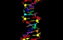 Truy tìm sự sống ngoài hành tinh từ DNA "8 chữ cái"