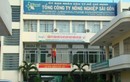 TP HCM: Rà soát kỹ SAGRI của cựu TGĐ Lê Tấn Hùng trước 30/6
