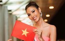 Hoàng Thùy có cơ hội chiến thắng ở Miss Universe 2019?