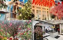 Sao Việt trang trí nhà đón Tết: Ai chịu chi hoành tráng nhất?