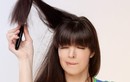 Bật mí cách chải phù hợp không khiến tóc bạn bị rụng hay khô xơ