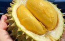 Sầu tí hon Thái Lan đổ bộ chợ Việt, vựa trái cây bán ngày nửa tấn