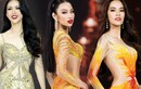 Thua cuộc tại HH Hoàn vũ VN, fan 'xúi giục' dàn gà chiến đến ngay với Miss Grand Vietnam