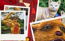 Linh vật Tết 2023: Ngôi vương thuộc về mèo Bến Tre!