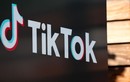 Làn sóng cấm cửa Tiktok ngày càng lan rộng