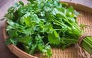 Loại rau gia vị giúp tăng sinh collagen, ở Việt Nam luôn sẵn