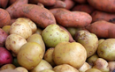 Khoai lang và khoai tây loại nào tốt hơn?