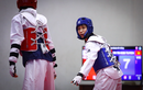 Taekwondo Việt Nam đặt mục tiêu bằng 30% SEA Games trước